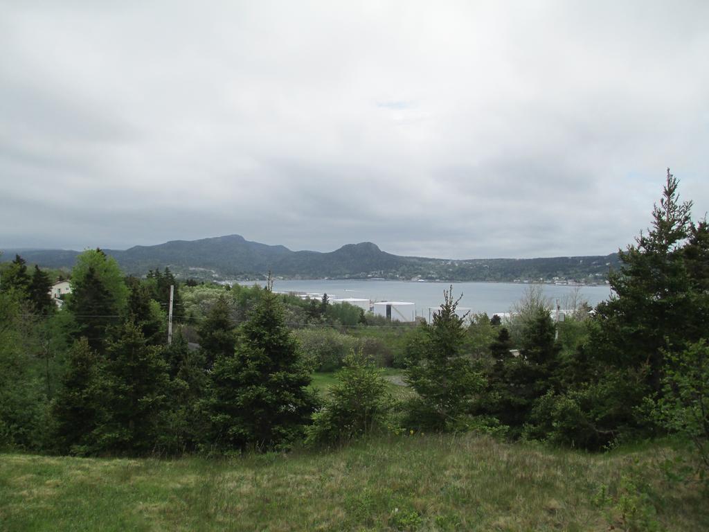 Comerford'S Ocean View Suites Holyrood Bagian luar foto